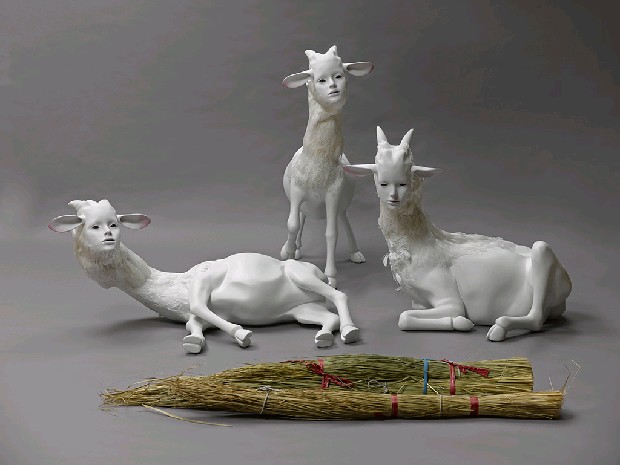 藏品:The Dolly的(4)張圖片