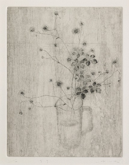 藏品:芳草的(1)張圖片