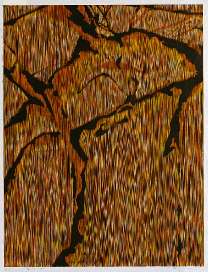 藏品:刻痕 - 70的(1)張圖片