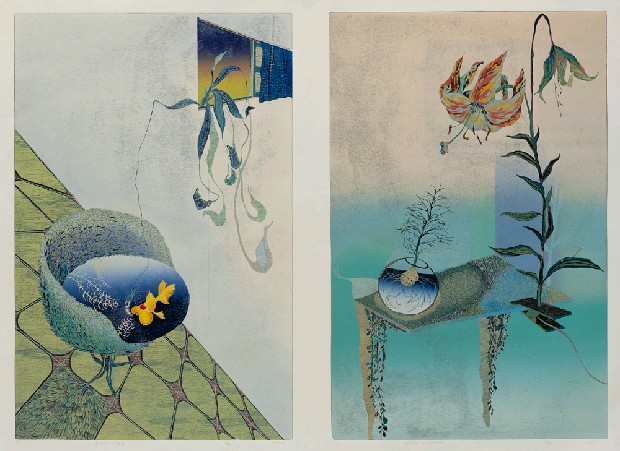 藏品:家。自然圈系列的(1)張圖片