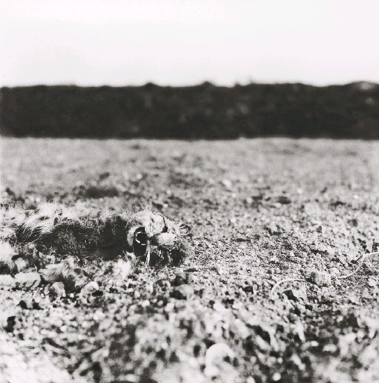 藏品:「在與不在」系列-澎湖鼎灣1965的(1)張圖片