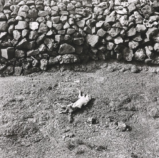 藏品:「在與不在」系列-澎湖鼎灣1965的(1)張圖片