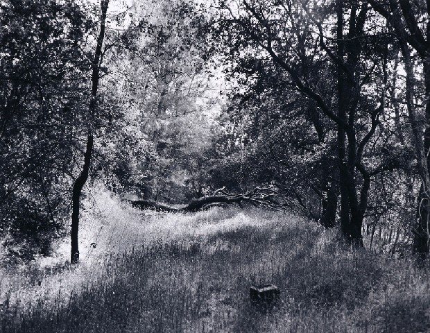 藏品:「覓金山鴻爪」系列-紐凱索(New Cast)的(1)張圖片