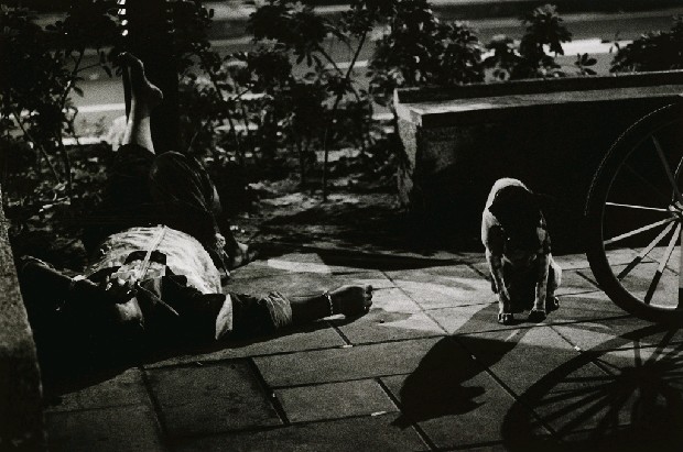 藏品:「家非家」系列-NO.16的(1)張圖片