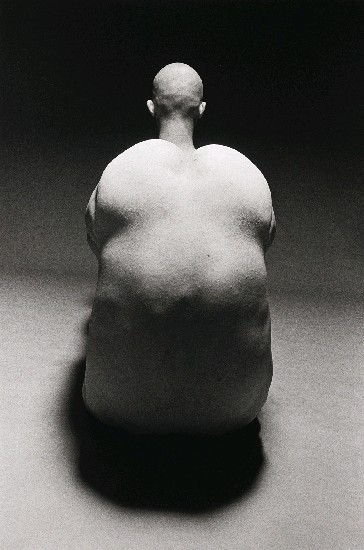 藏品:「肉身與魂魄」系列-8的(1)張圖片