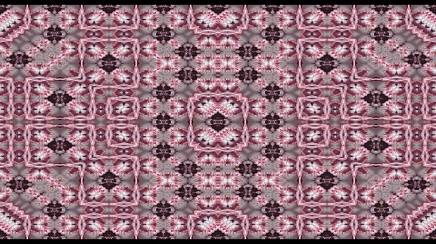 藏品:紀錄片 IV－小碎肉布的(2)張圖片