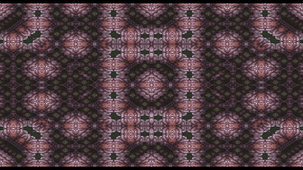 藏品:紀錄片 IV－小碎肉布的(4)張圖片