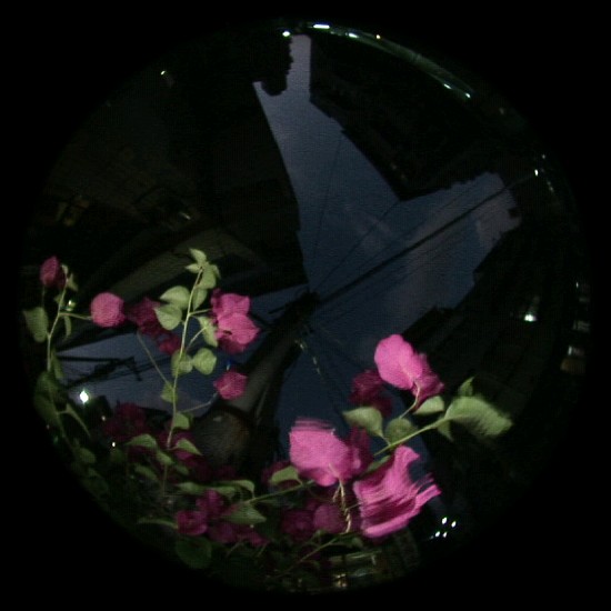 藏品:流自慢 Ⅱ 的(22)張圖片