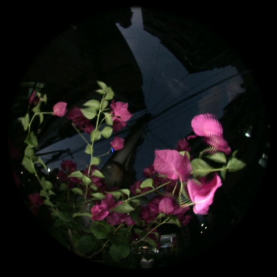 藏品:流自慢 Ⅱ 的(25)張圖片