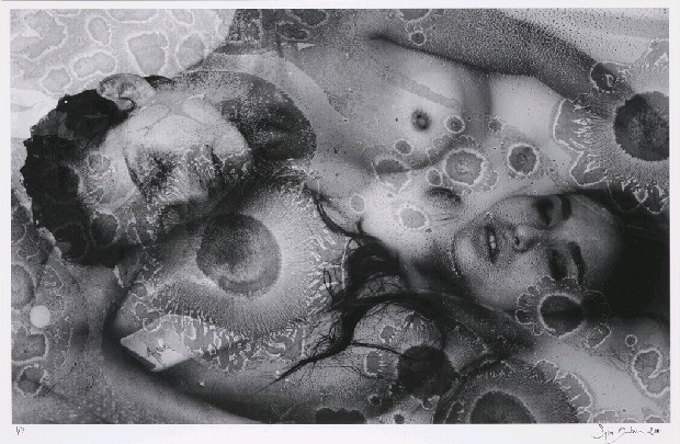 生之夢─雙面女郎的焦點圖