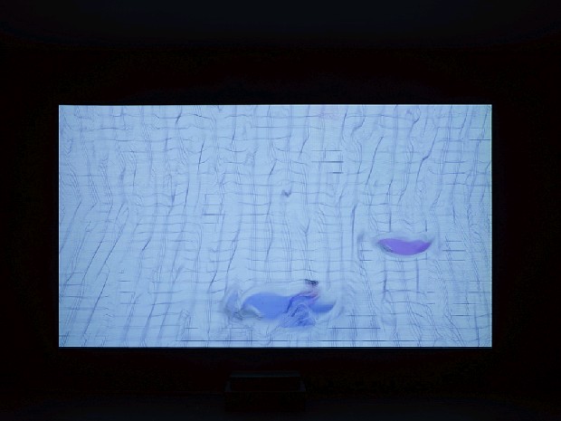 藏品:還在這裡的(1)張圖片