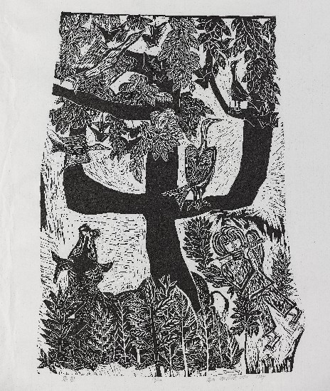 藏品:樂園的(2)張圖片