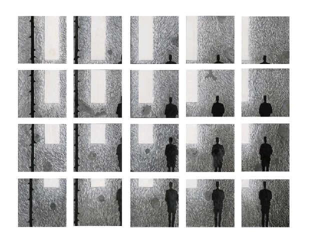 藏品:尋找玫瑰和它們的脊椎的(1)張圖片