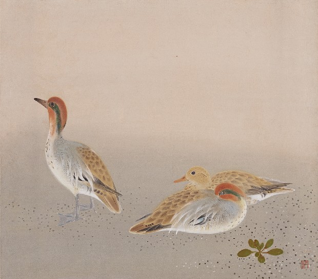 藏品:野鴨圖的(1)張圖片