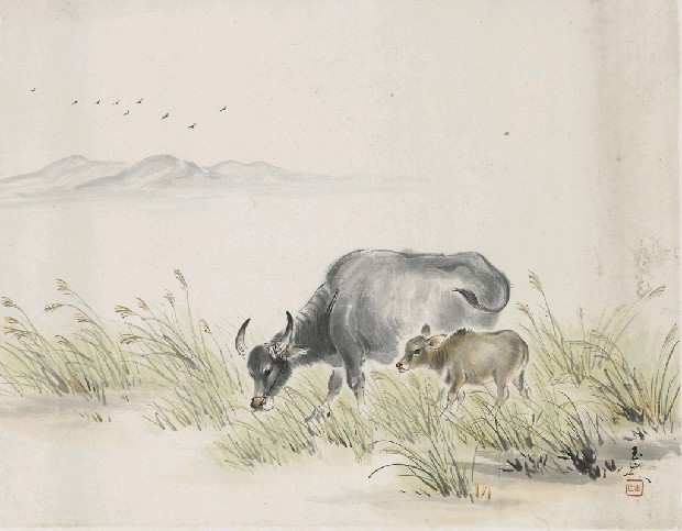 藏品:母子相隨的(1)張圖片