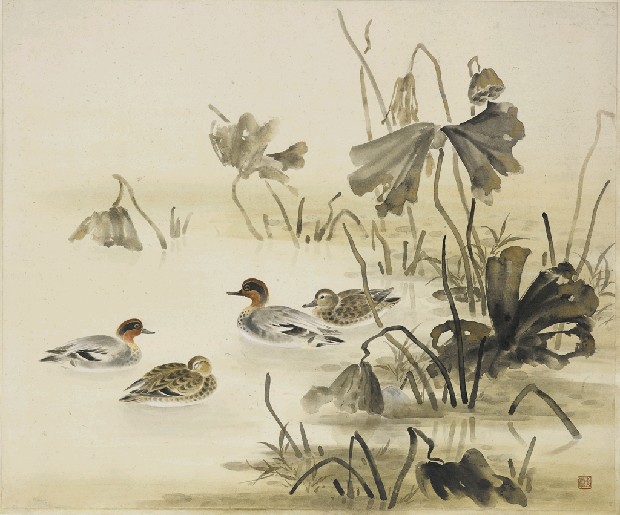 藏品:秋塘水鴨的(1)張圖片
