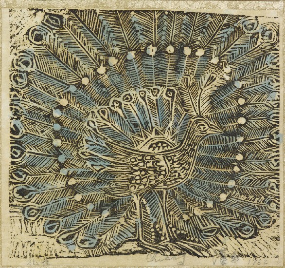 藏品:孔雀的(1)張圖片