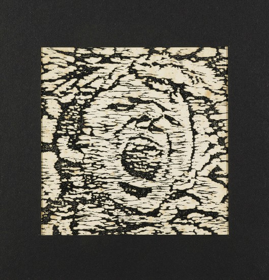 藏品:希聲之三的(3)張圖片