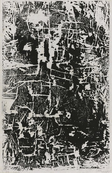 藏品:生命 Life -6312的(1)張圖片