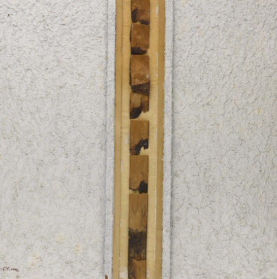 藏品:宮之牆(二)的(1)張圖片