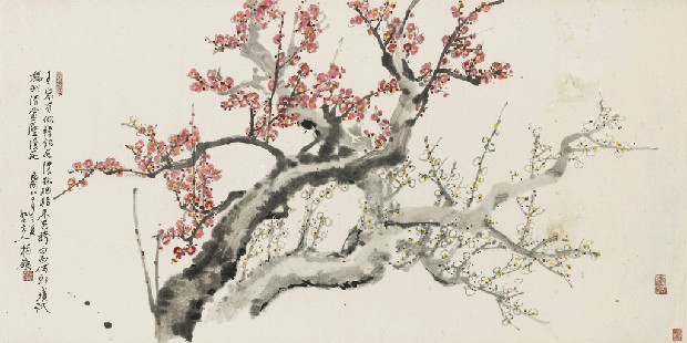 藏品:紅白梅花的(1)張圖片