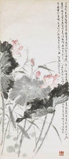 藏品:荷趣的(1)張圖片