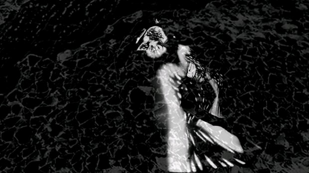 藏品:生之夢的(1)張圖片