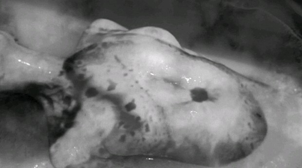 藏品:生之夢的(2)張圖片