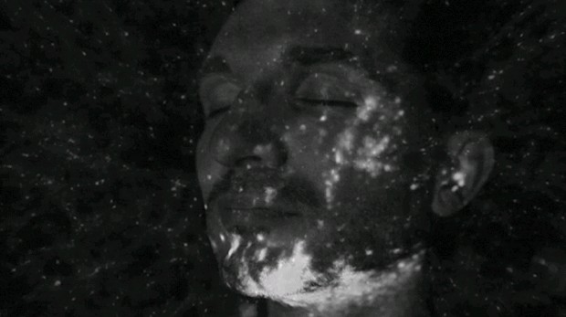 藏品:生之夢的(3)張圖片