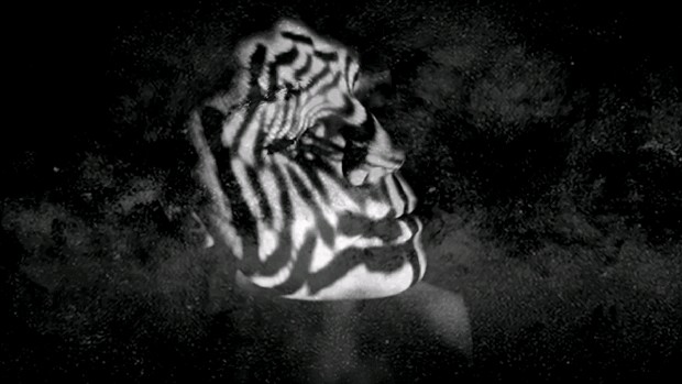 藏品:生之夢的(4)張圖片