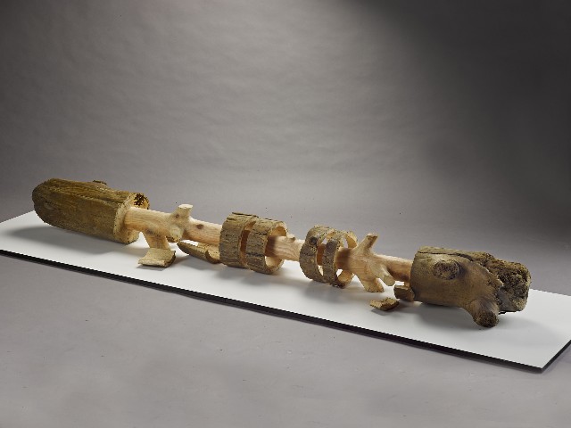 藏品:樹˙回歸13的(1)張圖片