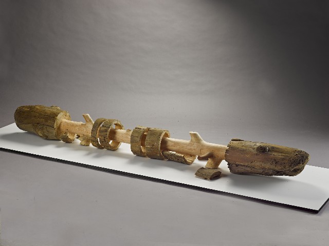 藏品:樹˙回歸13的(4)張圖片