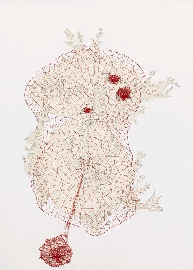 藏品:紅瘡的(1)張圖片