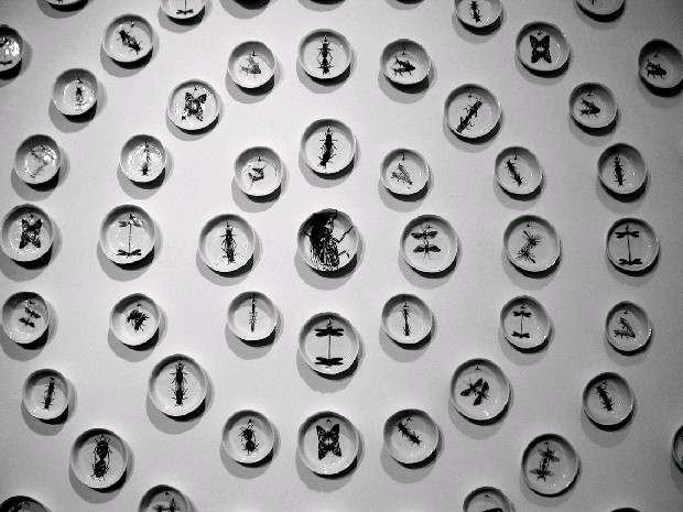 藏品:愛人同志 I的(2)張圖片