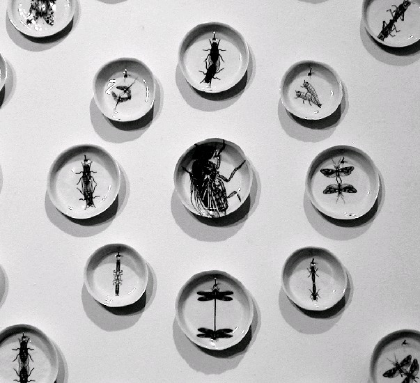 藏品:愛人同志 I的(3)張圖片