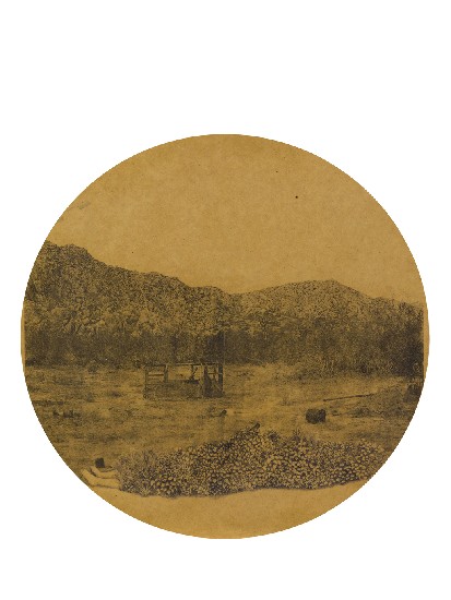 藏品:行進中的切片風景的(1)張圖片