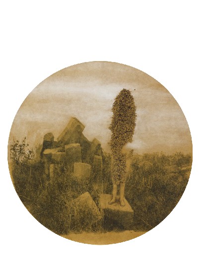 藏品:行進中的切片風景的(2)張圖片