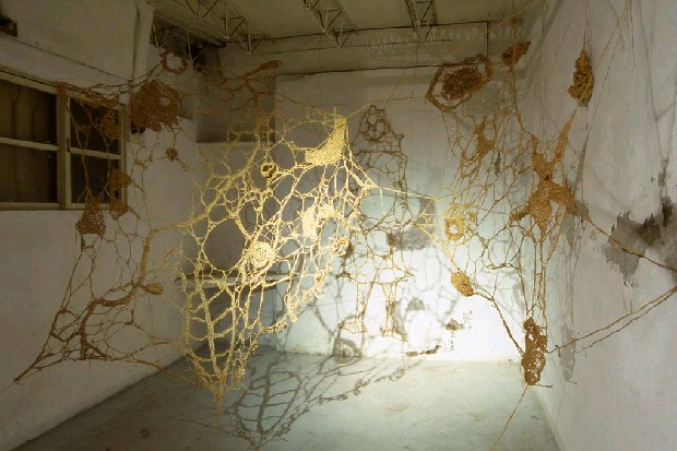 藏品:心靈禁區 － 蜘蛛網之一、二、三的(1)張圖片