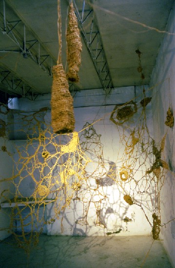 藏品:心靈禁區 － 蜘蛛網之一、二、三的(2)張圖片