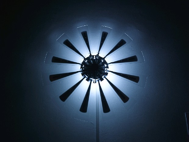 藏品:The 