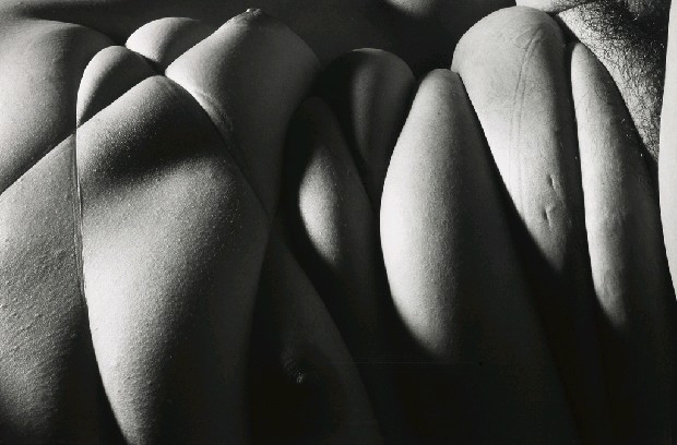 藏品:人體風景7的(1)張圖片