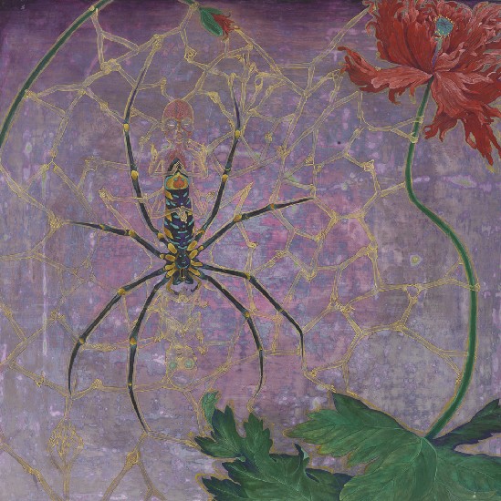 藏品:奧拉克尼蛛的(1)張圖片