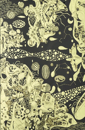 藏品:進化，風景的(8)張圖片