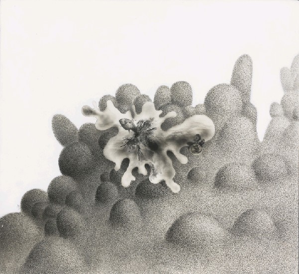 藏品:初次起飛的(1)張圖片