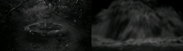 藏品:寓言的(1)張圖片