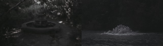 藏品:寓言的(2)張圖片