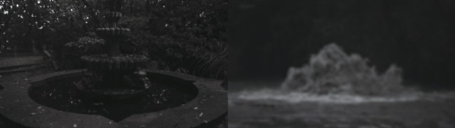 藏品:寓言的(5)張圖片