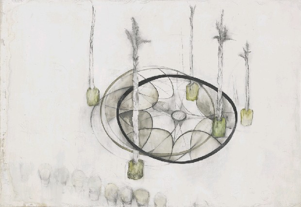 藏品:可以跳舞的地方的(1)張圖片