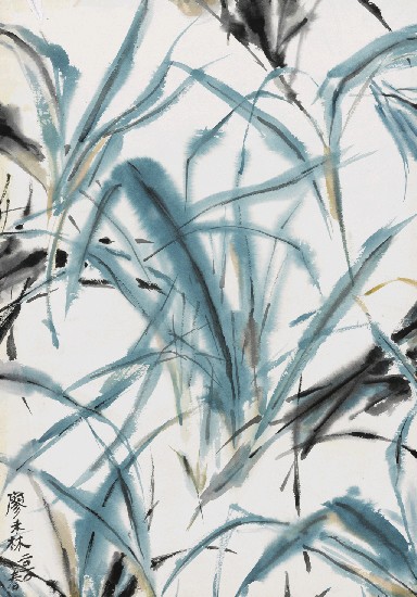 藏品:蘆葦的(1)張圖片