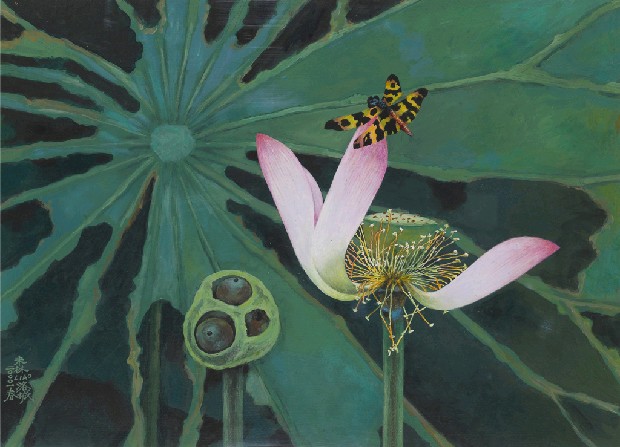 藏品:荷花與蜻蜓的(1)張圖片
